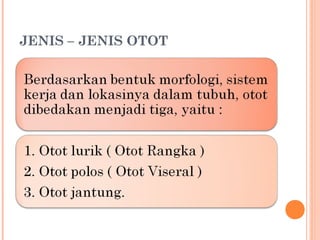 JENIS – JENIS OTOT

 