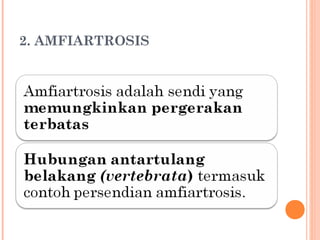 2. AMFIARTROSIS

 