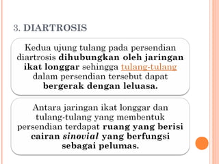 3. DIARTROSIS

 