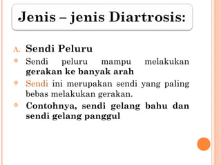 A.

Sendi Peluru



Sendi
peluru
mampu
melakukan
gerakan ke banyak arah
Sendi ini merupakan sendi yang paling
bebas melakukan gerakan.
Contohnya, sendi gelang bahu dan
sendi gelang panggul





 