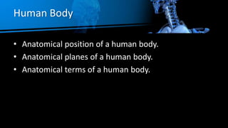 Human Body
• Anatomical position of a human body.
• Anatomical planes of a human body.
• Anatomical terms of a human body.
 