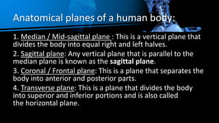 Anatomical planes of a human body:
1. Median / Mid-sagittal plane : This is a vertical plane that
divides the body into equal right and left halves.
2. Sagittal plane: Any vertical plane that is parallel to the
median plane is known as the sagittal plane.
3. Coronal / Frontal plane: This is a plane that separates the
body into anterior and posterior parts.
4. Transverse plane: This is a plane that divides the body
into superior and inferior portions and is also called
the horizontal plane.
 