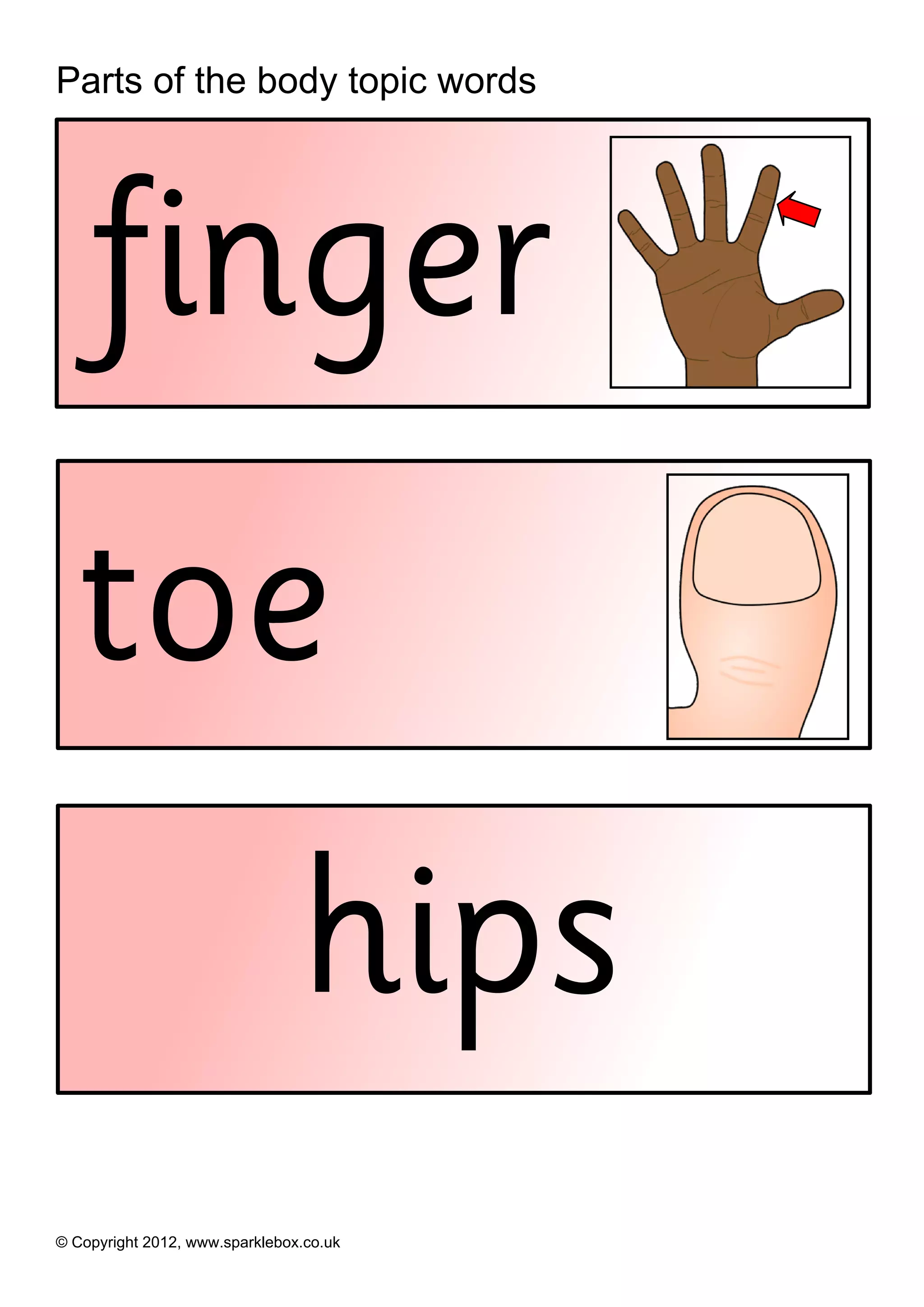 Parts of the body topic words




    finger
  toe
                                hips
© Copyright 2012, www.sparklebox.co.uk
 