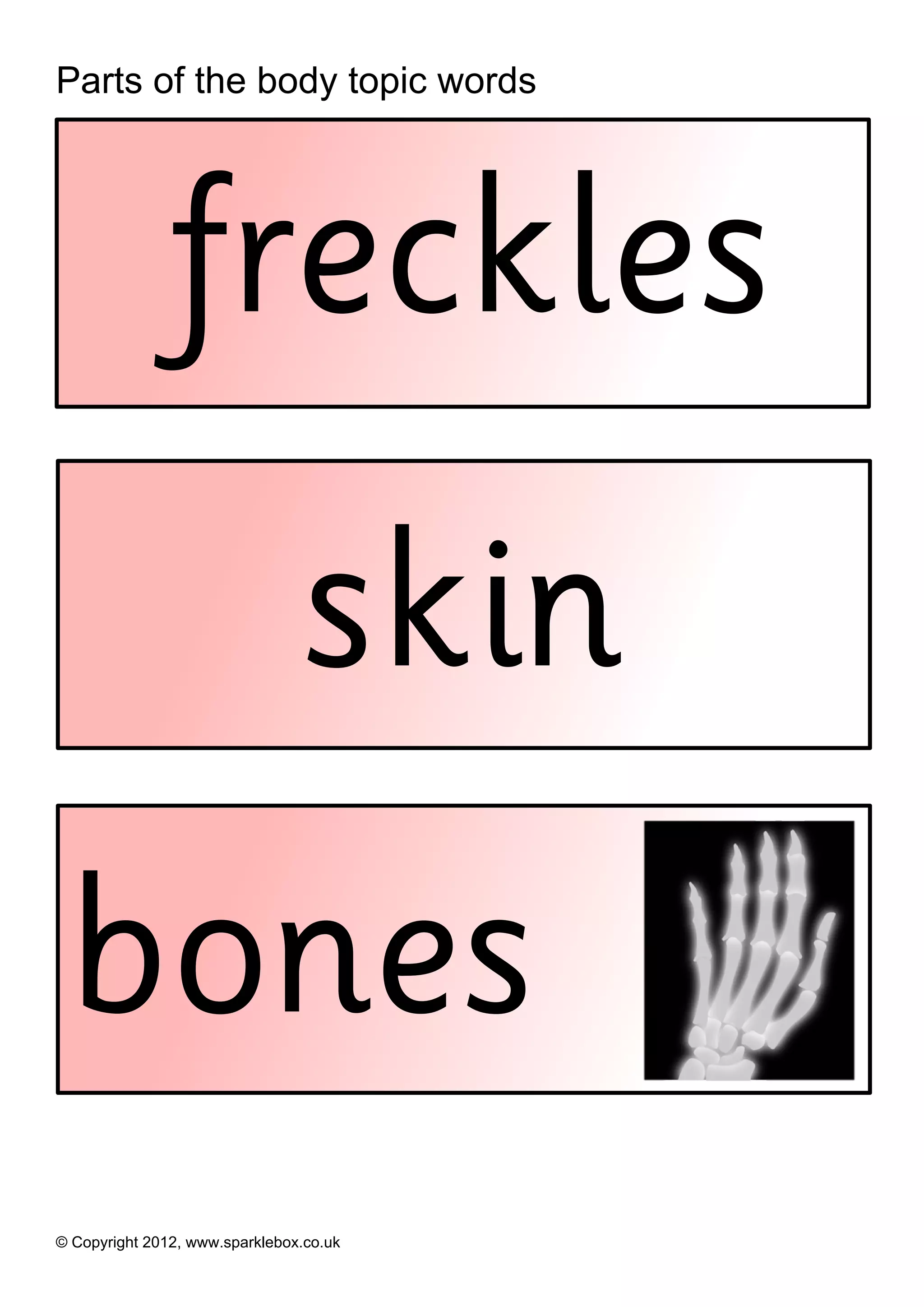 Parts of the body topic words




               freckles
                                skin
 bones
© Copyright 2012, www.sparklebox.co.uk
 