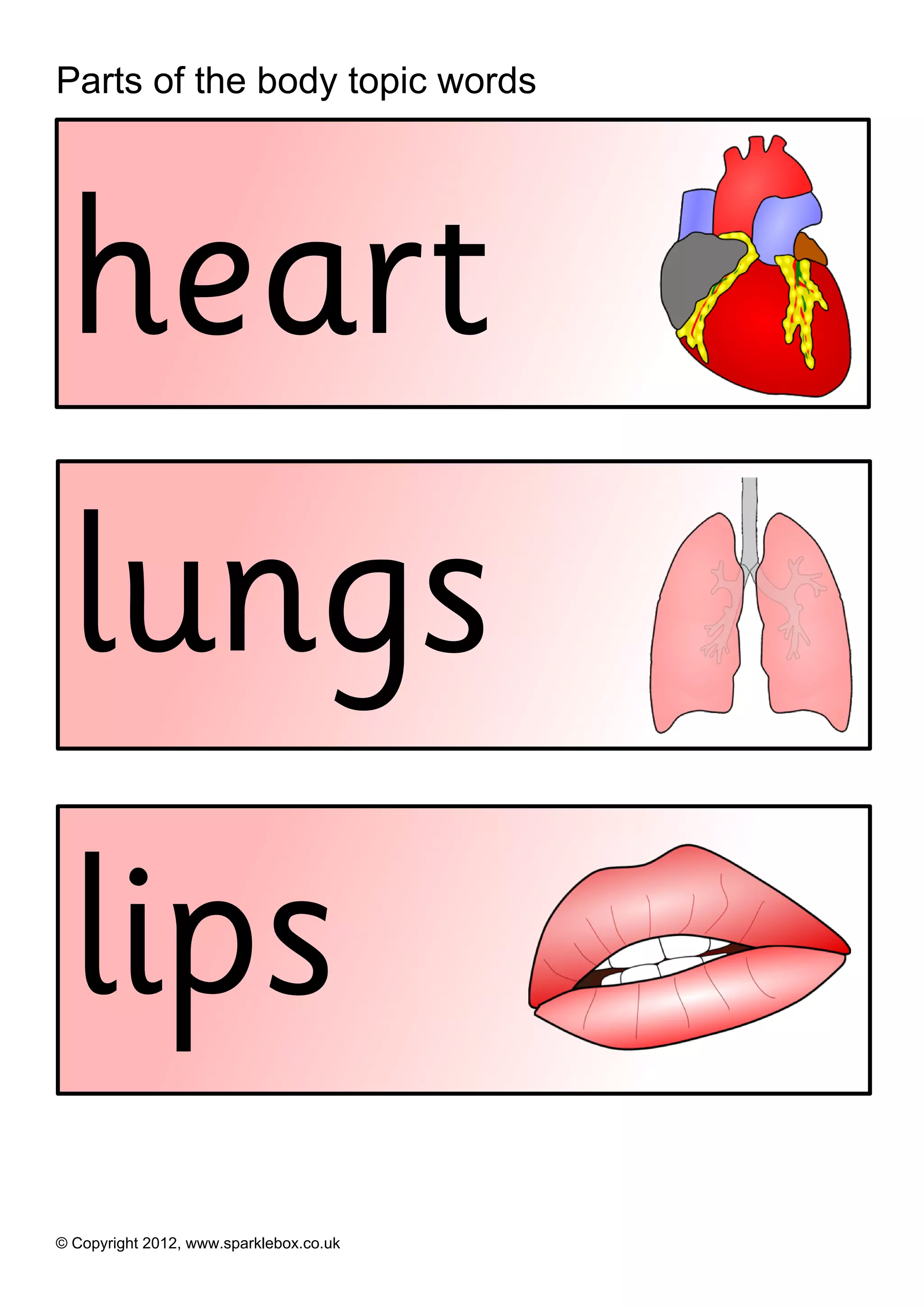Parts of the body topic words




 heart
 lungs
  lips
© Copyright 2012, www.sparklebox.co.uk
 