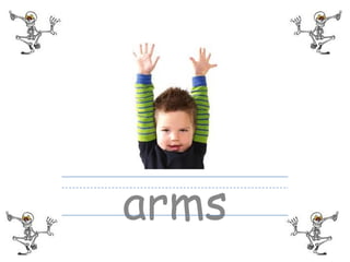 arms
 
