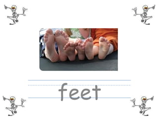 feet
 