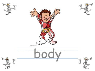 body
 