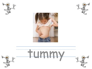 tummy
 