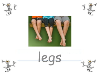 legs
 