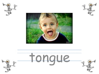 tongue
 