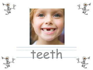 teeth
 