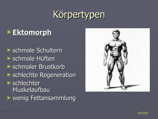 Körpertypen Ektomorph schmale Schultern schmale Hüften schmaler Brustkorb schlechte Regeneration schlechter Muskelaufbau wenig Fettansammlung weiter 