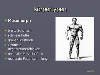 Körpertypen Mesomorph breite Schultern schmale Hüfte großer Brustkorb Optimale Regenrationsfähigkeit optimaler Muskelaufbau moderate Fettansammlung weiter 