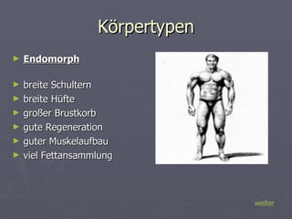 Körpertypen Endomorph breite Schultern breite Hüfte großer Brustkorb gute Regeneration guter Muskelaufbau viel Fettansammlung weiter 