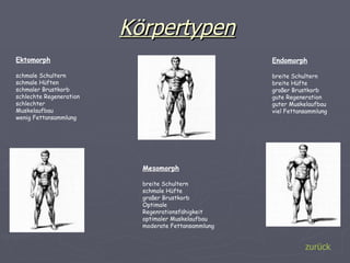 Körpertypen Endomorph breite Schultern breite Hüfte großer Brustkorb gute Regeneration guter Muskelaufbau viel Fettansammlung Mesomorph breite Schultern schmale Hüfte großer Brustkorb Optimale Regenrationsfähigkeit optimaler Muskelaufbau moderate Fettansammlung Ektomorph schmale Schultern schmale Hüften schmaler Brustkorb schlechte Regeneration schlechter Muskelaufbau wenig Fettansammlung zurück 