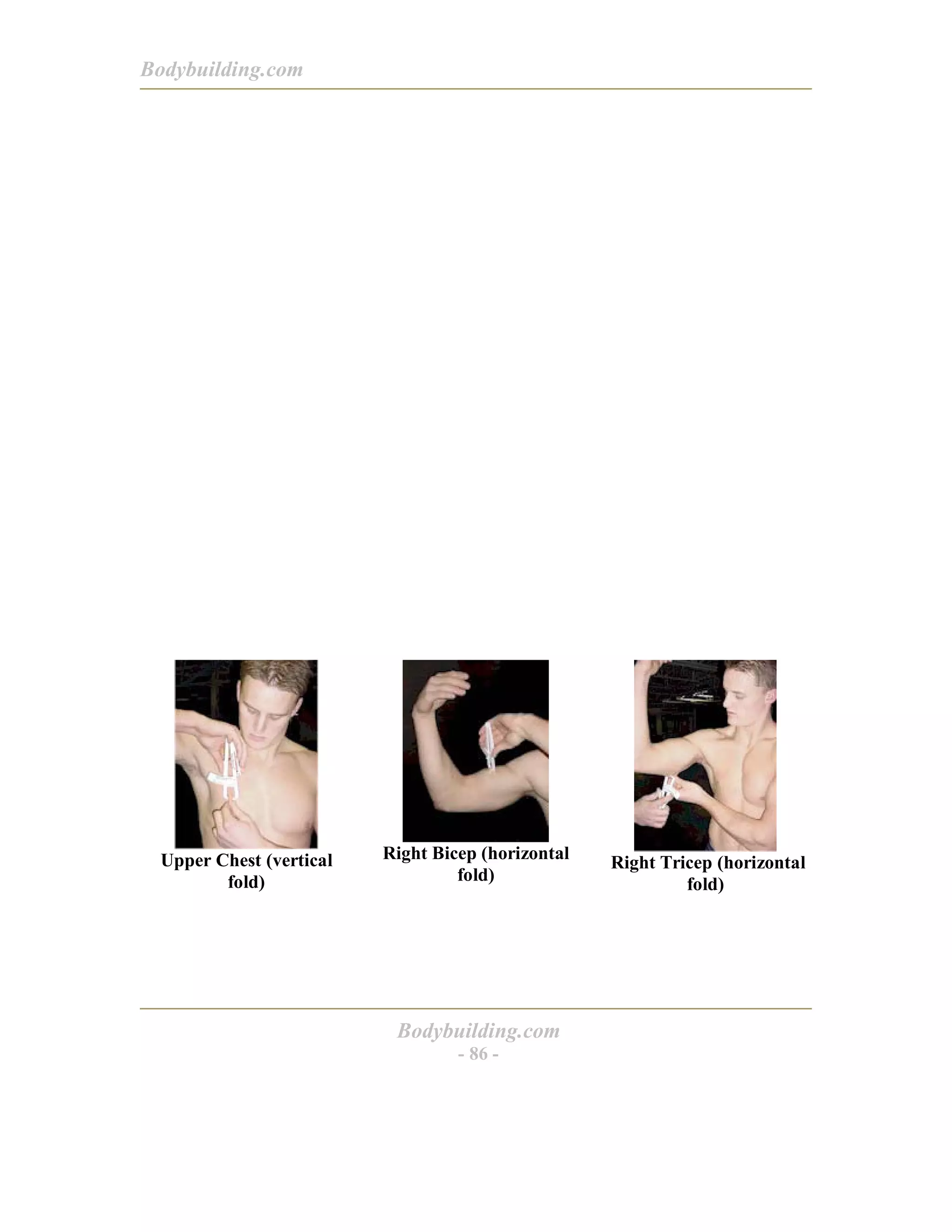 Bodybuilding.com
Bodybuilding.com
- 86 -
Upper Chest (vertical
fold)
Right Bicep (horizontal
fold)
Right Tricep (horizontal
fold)
 