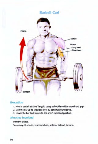 Barbell Curl
FINISH
y--- DeitOld
Biceps:
~ Longhead
-------r-Short head
Execution
1. Hold a barbell at arms' length, using a shoulder-width underhand grip.
2. Curl the bar up to shoulder level by bending your elbows.
3. Lower the bar back down to the arms' extended position.
Muscles Involved
Primary: Biceps.
Secondary: Brachialis, brachioradialis, anterior deltOid, forearm.
93
 