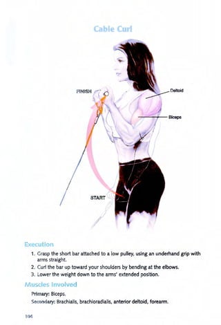 Cabl C
Deltoid
---,""""'::::--'rI--- Biceps
START
E ecution
1. Grasp the short bar attached to a low pulley, using an underhand grip with
arms straight.
2. Curl the bar up toward your shoulders by bending at the elbows.
3. Lower the weight down to the arms' extended position.
Muscles Involved
Primary: Biceps.
'econdary: Brachialis, brachioradialis, anterior deltoid, forearm.
1
 