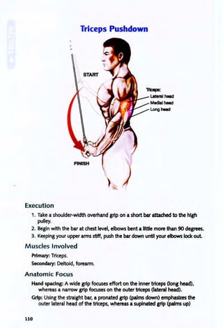 "
Execution
Triceps Pushdown
START
)
1Hcepe:
Lateral head
Medial head
Long head
1. Take a shoulder-width overhand grip on a short bar attached to the high
pulley.
2. Begin with the bar at chest level, elbows bent a little more than 90 degrees.
3. Keeping your upper arms stiff, push the bar down until your elbows lock out
Muscles Involved
Primary: Triceps.
Secondary: Deltoid, forearm.
Anatom ic Focus
Hand spacing: A wide grip focuses effort on the inner triceps (long head),
whereas a narrow grip focuses on the outer triceps (lateral head).
Grip: Using the straight bar, a pronated grip (palms down) emphasizes the
outer lateral head of the triceps, whereas a supinated grip (palms up)
110
 