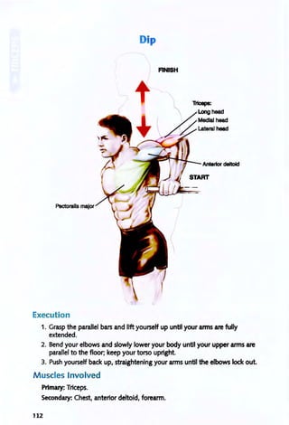o
Ip
FINISH
TrIceps:
Antertor deltoid
START
Execution
1. Grasp the parallel bars and lift yourself up until your arms are fully
extended.
2. Bend your elbows and slowly lower your body until your upper arms are
parallel to the floor; keep your torso upright.
3. Push yourself back up, straightening your arms until the elbows lock out.
M uscles Involved
PrImary: Triceps.
Secondary: Chest, anterior deltoid, forearm.
112
 
