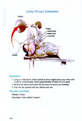 Lying Triceps Extension
FINISH
Triceps:
Execution
1. Lying on a flat bench, hold a barbell at arms' length above your chest with
a narrow overhand grip, hands approximately 6 inches (15 em) apart.
2. Bend at the elbows and lower the bar down to touch your forehead.
3. Push the bar upward until your elbows lock out.
Muscles Involved
Primary: Triceps.
Secondary: Chest, deltoid, forearm.
114
 
