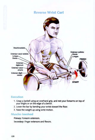 Reverse Wris C I
Brachioradialis
Extensor polllcls:
Brevis
//~1f.. FINISH
Execution
1. Grasp a barbell using an overhand grip, and rest your forearms on top of
your thighs or on the edge of a bench.
2. Lower the bar by bending your wrists toward the floor.
3. Raise the weight up using wrist motion.
Muscles Involved
Primary: Forearm extensors.
Secondary: Finger extensors and flexors.
124
 