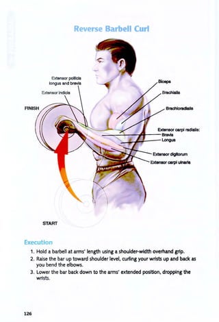 START
Execution
Reverse B rbell Curl
8rachloradlalls
Extensor carpi radialis:
~--------~~----8~
~.,L..~""""-- Longus
1. Hold a barbell at arms' length using a shoulder-width overhand grip.
2. Raise the bar up toward shoulder level, cuning your wrists up and back as
you bend the elbows.
3. Lower the bar back down to the arms' extended position, dropping the
wrists.
126
 