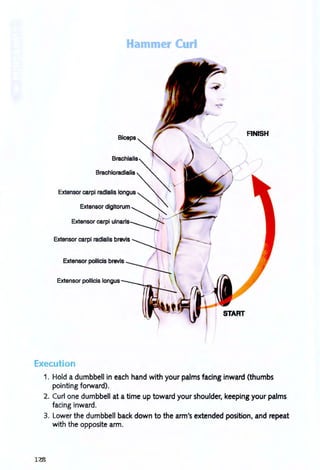 Hammer
Biceps
Brachlalis
Brachioradialis
Extensor digltorum
Extensor carpi Uln.".::::j:.
Extensor carpi radialis brevis ~
Extensor pollicis brevis ~
Extensor pollicis longus
Execution
ur
RNISH
1. Hold a dumbbell in each hand with your palms facing inward (thumbs
pointing forward).
2. Curl one dumbbell at a time up toward your shoulder, keeping your palms
facing inward.
3. Lower the dumbbell back down to the arm's extended poSition, and repeat
with the opposite arm.
128
 