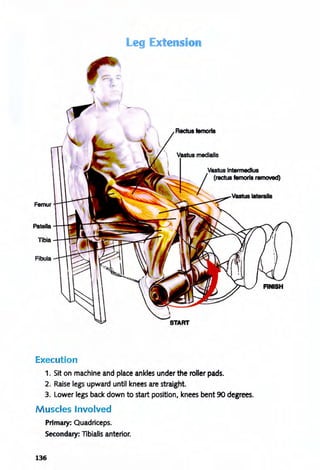 Leg Ex ' •
510
Rectus temorts
vastus Intermedius
(rectus famorIs I'8n'lOV8d)
Femur
Patella
Fibula
Execution
1. Sit on machine and place ankles under the roller pads.
2. Raise legs upward until knees are straight.
3. Lower legs back down to start position, knees bent 90 degrees.
Muscles Involved
Primary: Quadriceps.
Secondary: TIbialis anterior.
136
 