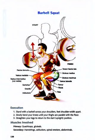 Vastu8 medialis
Vastus Intermedius
(not visible)
Execut ion
Barbell Squat
START
FINISH
Gluteus rnedus
1. Stand with a barbell across your shoulders, feet shoulder-width apart.
2. Slowly bend your knees until your thighs are parallel with the floor.
3. Straighten your legs to return to the start (upright) position.
Muscles Involved
Primary: Quadriceps, gluteals.
Secondary: Hamstrings, adductors, spinal erectors, abdomlnals.
138
 