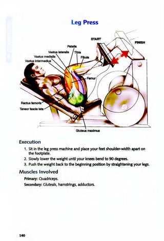 Leg Press
Gluteus rnaxlmus
Execution
1. Sit in the leg press machine and place your feet shoulder-width apart on
the footplate.
2. Slowly lower the weight until your knees bend to 90 degrees.
3. Push the weight back to the beginning position by straightening your legs.
Muscles Involved
Primary: Quadriceps.
Secondary: Gluteals, hamstrings, adductors.
140
 