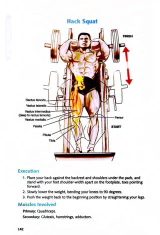Hack Squat
R~smmo~~~~~~n
Vastus lateralIs ---++--H"fr~
VuruslmB~edlw~--~~~~~
(deep to rectus mmoris)
Vastus medialis
Patella
Execution
FINISH
START
1. Place your back against the backrest and shoulders under the pads, and
stand with your feet shoulder-width apart on the footplate, toes pointing
forward.
2. Slowly lower the weight, bending your knees to 90 degrees.
3. Push the weight back to the beginning position by straightening your legs.
Muscles Involved
Primary: Quadriceps.
Secondary: Gluteals, hamstrings, adductors.
142
 