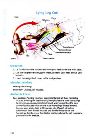 Lying Leg Curl
FINISH
Femur
I
..:/
START Gastrocnemius
Execution
1. Lie facedown on the machine and hook your heels under the roller pads.
2. Curl the weight by bending your knees, and raise your heels toward your
buttocks.
3. Lower the weight back down to the start position.
Muscles Involved
Primary: Hamstrings.
Secondary: Gluteals, calf muscles.
Anatomic Focus
Foot position: POinting your toes straight (a) targets all three hamstring
muscles. Pointing the toes inward (b) emphasizes the inner hamstrings
(semimembranosus and semitendinosus), whereas pointing the toes
outward (e) focuses effort on the outer hamstrings (biceps femoris).
Keeping your ankles bent at 90 degrees (dorsiflexed) minimizes
contribution from the calf muscles and thereby helps isolate the
hamstrings. Pointing your feet (tiptoe position) allows the calf muscles to
participate in the exercise.
146
 