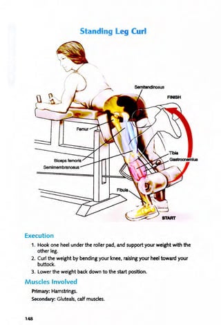 Standing Leg Curl
Execution
1. Hook one heel under the roller pad, and support your weight with the
other leg.
2. Curl the weight by bending your knee, raising your heel toward your
buttock.
3. Lower the weight back down to the start position.
Muscles Involved
Primary: Hamstrings.
Secondary: Gluteals, calf muscles.
J.48
 