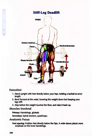 Stiff-Leg Deadllft
FINISH f
Execution
1. Stand upright with feet directly below your hips, holding a barbell at arms'
length.
2. Bend forward at the waist, lowering the weight down but keeping your
lep stiff.
3. Stop before the weight touches the floor, and raise It back up.
Muscles Involved
Prtmary: Hamstrlnp. gluteals.
Secondary: Spinal erectors, quadriceps.
Anatomic Focus
Foot spadl1l= Position feet directly below the hips. Awide stance places more
emphasis on the Inner hamstrlnp.
150
 