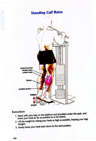 Standing Calf Raise


AchI1les tendon---+11
Execution
1. Stand with your toes on the platform and shoulders under the pads. and
lower your heels as far as possible for a full sbetch.
2. Lift the weight by raising your heels as high as possible. keeping your legs
straight.
3. Slowly lower your heels back down to the start position.
152
 