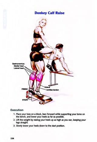 Gastrocnemius:
MedIal head
Lateral head
Execution
Donkey Calf Raise
1. Place your toes on a block, lean forward while supporting your torso on
the bench, and lower your heels as far as possible.
2. Lift the weight by raising your heels up as high as you can, keeping your
legs straight.
3. Slowly lower your heels down to the start position.
154
 