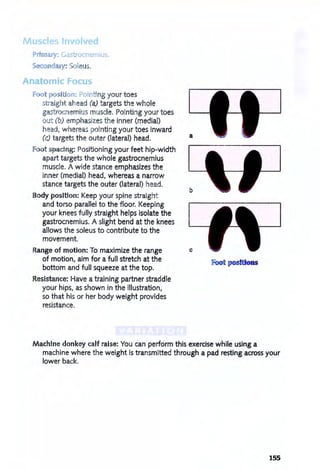 M t::ls Involved
Pr"mary: Gastrocnemius.
Secondary: 01 us.
Anatomic Focus
Foot po i ion: Poinf ng your toes
straight ahead (a) targets the whole
gast rocnemius muscle. Pointing your toes
out (b) emphasizes the inner (medial)
head, whereas pointing your toes inward
(c) targets the outer (lateral) head.
Foot spacing: Positioning your feet hip-width
apart targets the whole gastrocnemius
muscle. A wide stance emphasizes the
inner (medial) head, whereas a narrow
stance targets the outer (lateral) head.
Body position: Keep your spine straight
and torso parallel to the floor. Keeping
your knees fully straight helps isolate the
gastrocnemius. A slight bend at the knees
allows the soleus to contribute to the
movement.
Range of motion: To maximize the range
of motion, aim for a full stretch at the
bottom and full squeeze at the top.
Resistance: Have a training partner straddle
your hips, as shown in the illustration,
so that his or her body weight provides
resistance.
a
c
Machine donkey calf raise: You can perform this exercise while using a
machine where the weight is transmitted through a pad resting across your
lower back.
155
 