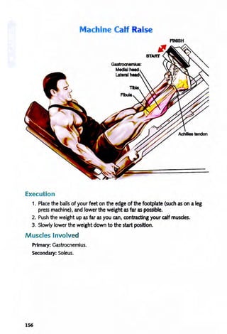 Execution
Machine Calf Raise
Gastrocnemius:
Medial head
Lateral
FINISH
1. Place the balls of your feet on the edge of the footplate (such as on a leg
press machine), and lower the weight as far as possible.
2. Push the weight up as far as you can, contracting your calf musdes.
3. Slowly lower the weight down to the start position.
M uscles Involved
Primary: Gastrocnemius.
Secondary: Soleus.
156
 