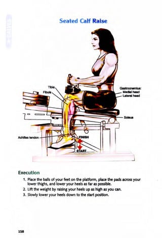 Seated Ca f
o
alse
Execution
Gastrocnemius:
MedIal head
Lateral head
Soleus
1. Place the balls of your feet on the platform, place the pads across your
lower thighs, and lower your heels as far as possible.
2. Lift the weight by raising your heels up as high as you can.
3. Slowly lower your heels down to the start position.
158
 