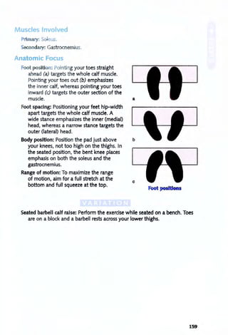 Nl s e Ived
P i ary: S leu .
Sec ndary: Gastrocnemius.
Anatomic Focus
Foot osition: Pointi g your toes straight
ahead (a) targets the whole calf muscle.
Pointing your toes out (b) emphasizes
the inner calf, whereas pointing your toes
inward (c) targets the outer section of the
muscle. a
Foot spacing: Positioning your feet hip-width
apart targets the whole calf muscle. A
wide stance emphasizes the inner (medial)
head, whereas a narrow stance targets the
outer (lateral) head.
Body position: Position the pad just above
your knees, not too high on the thighs. In
the seated position, the bent knee places
emphasis on both the soleus and the
gastrocnemius.
Range of motion: To maximize the range
of motion, aim for a full stretch at the
bottom and full squeeze at the top.
c
Foot positions
Seated barbell calf raise: Perform the exercise while seated on a bench. Toes
are on a block and a barbell rests across your lower thighs.
159
 