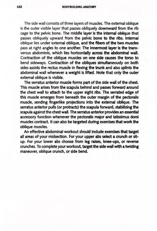 162 BODYBUILDING ANATOMY
The side wall consists of three layers of muscles. The external oblique
is the outer visible layer that passes obliquely downward from the rib
cage to the pelvic bone. The middle layer is the internal oblique that
passes obliquely upward from the pelvic bone to the ribs. Internal
oblique lies under external oblique, and the fibers of the two muscles
pass at right angles to one another. The innermost layer is the trans-
versus abdominis, which lies horizontally across the abdominal wall.
Contraction of the oblique muscles on one side causes the torso to
bend sideways. Contraction of the obliques simultaneously on both
sides assists the rectus muscle In flexing the trunk and also splints the
abdominal wall whenever a weight is lifted. Note that only the outer
external oblique is visible.
The serratus anterior muscle forms part of the side wall of the chest.
This muscle arises from the scapula behind and passes forward around
the chest wall to attach to the upper eight ribs. The serrated edge of
this muscle emerges from beneath the outer margin of the pectoralis
muscle, sending fingerlike projections into the external oblique. The
serratus anterior pulls (or protracts) the scapula forward, stabilizing the
scapula againstthe chest wall. The serratus anterior provides an essential
accessory function whenever the pectoralis major and latissimus dorsi
muscles contract. It can also be targeted during exercises that work the
oblique muscles.
An effective abdominal workout should indude exercises that target
all areas of your midsection. For your upper abs select a crunch or slt-
up. For your lower abs choose from leg raises, knee-ups, or reverse
crunches. To complete yourworkout, targetthe side wall with atwisting
maneuver, oblique crunch, or side bend.
 