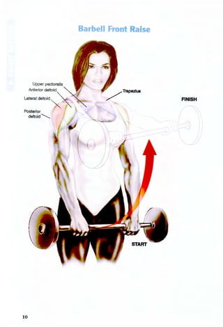 Upper pectoralis
Anterior deltoid
Lateral deltoid ~
Posterior
deltoid~
10
Barbell Fron •
alse
/TrapeziUS
FINISH
 