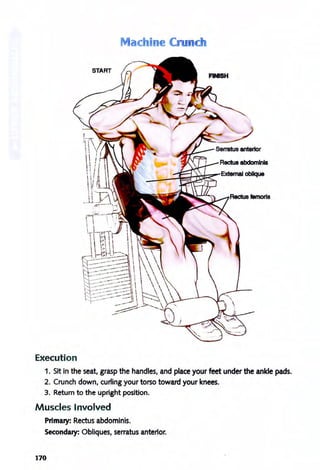 Execution
1. Sit in the seat, grasp the handles, and place your feet under the ankle pads.
2. Crunch down, curling your torso toward your knees.
3. Return to the upright position.
Muscles Involved
Primary: Rectus abdominis.
Secondary: Obliques, serratus anterior.
170
 
