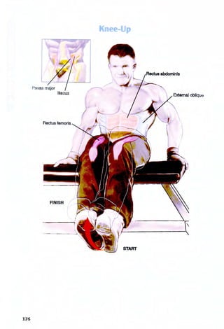 Knee-Up
Rectus abdomlnis
Psoas major
Iliacus
Rectus femoris
FINISH
START
176
 