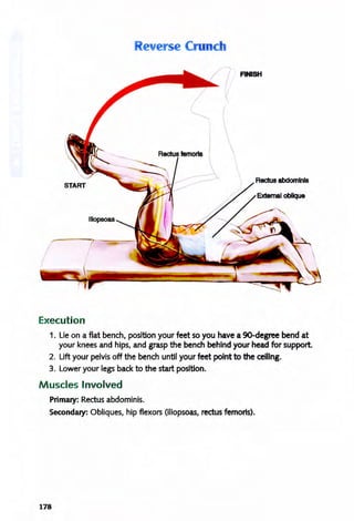 ever e C unch
FINISH
Rectus abdomlnls
Execution
1. Lie on a flat bench, position your feet so you have a 9O-degree bend at
your knees and hips, and grasp the bench behind your head for support.
2. Lift your pelvis off the bench until your feet point to the ceiling.
3. Lower your legs back to the start position.
Muscles Involved
Primary: Rectus abdominis.
Secondary: Obliques, hip flexors (iliopsoas, rectus femoris).
178
 