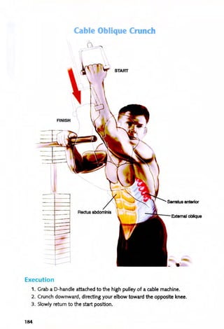 FINISH
Execution
Cable Oblique Crunch
(
1 "-
START
Serratus anterior
1. Grab a D-handle attached to the high pulley of a cable machine.
2. Crunch downward, directing your elbow toward the opposite knee.
3. Slowly return to the start position.
184
 