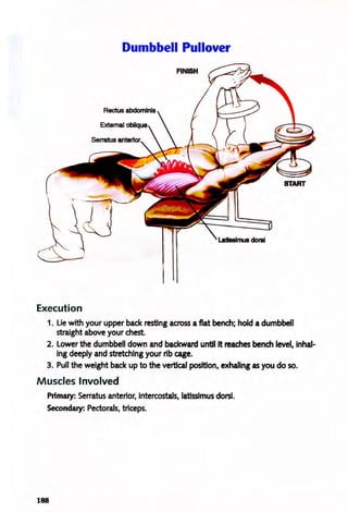 Dumbbell Pullover
Execution
1. Lie with your upper back resting across a flat bench; hold a dumbbell
straight above your chest.
2. Lower the dumbbell down and backward until It reaches bench level, inhal-
ing deeply and stretching your rib cage.
3. Pull the weight back up to the vertical position, exhaling as you do so.
Muscles Involved
Primary: Serratus anterior, Intercostals, latissimus dorsi.
Secondary: Pectorals, triceps.
188
 