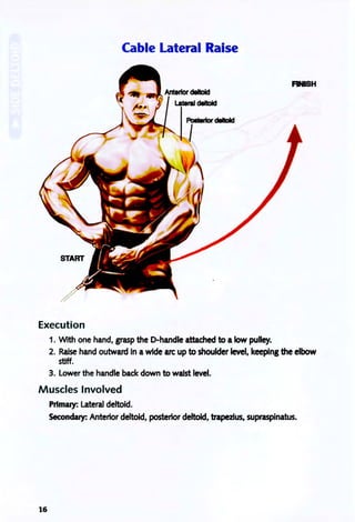 Cable Lateral Raise
FNSH
Execution
1. With one hand, grasp the D-handle attached to a low pulley.
2. Raise hand outward in a wide arc up to shoulder level, keeping the elbow
stiff.
3. Lower the handle back down to waist level.
Muscles Involved
Primary: Lateral deltoid.
Secondary: Anterior deltoid, posterior deltoid, trapezius, supraspinatus.
16
 